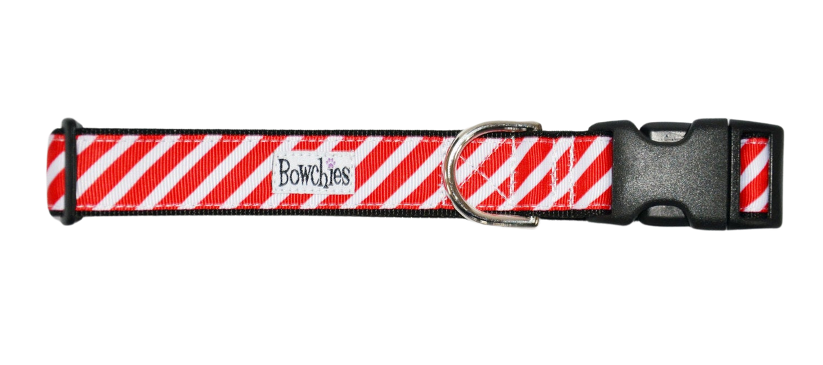 Candy Cane